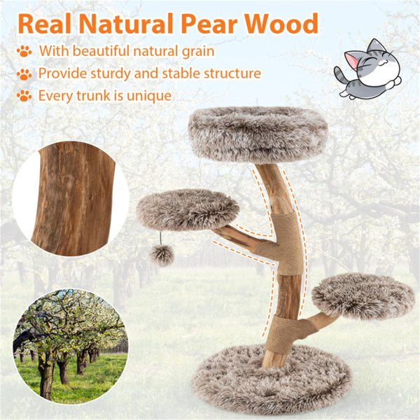 Natural Pear Wood Cat Tree with Scratching Posts & Plush Balls - Multi-Level Cat Furniture