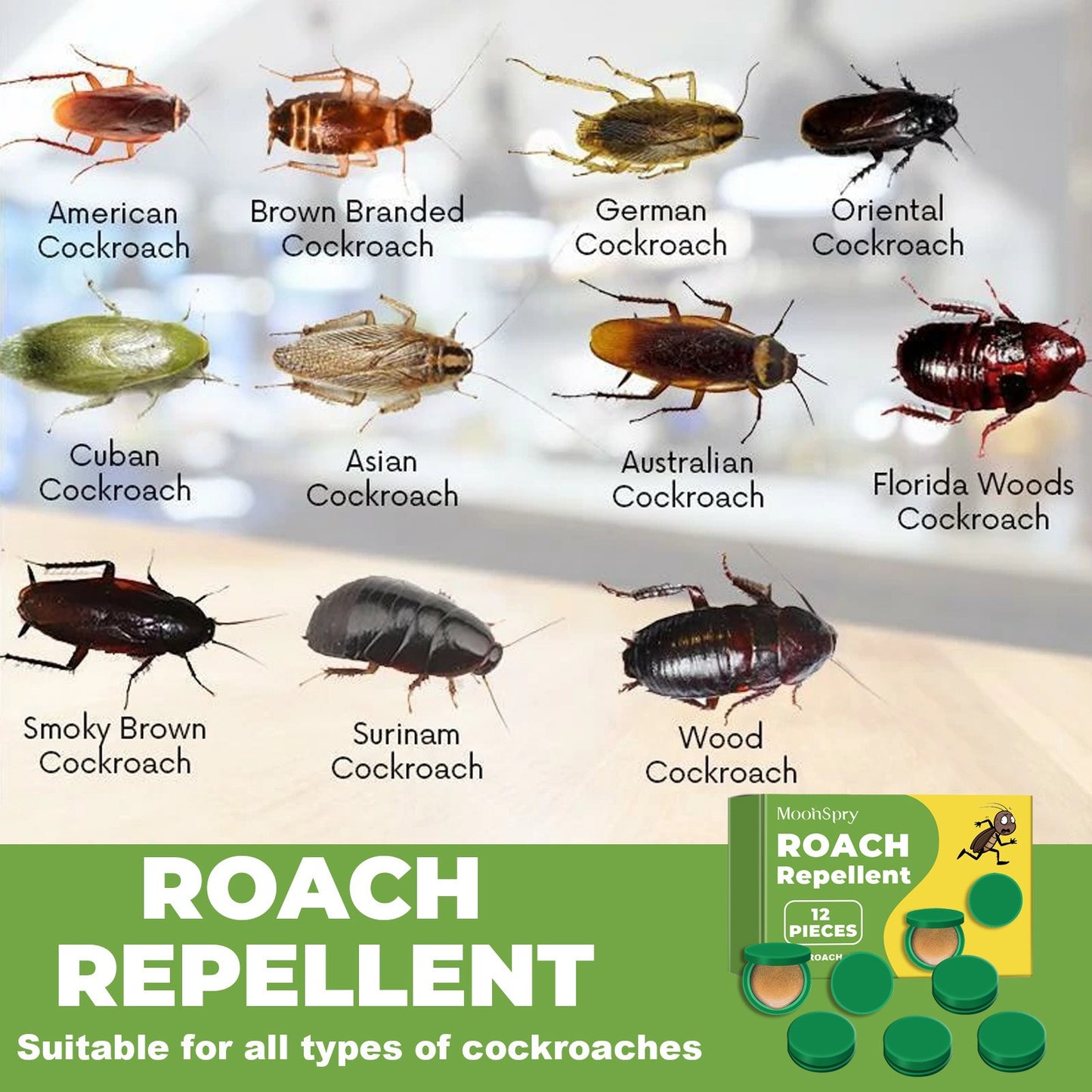 12Pcs In 1 Box, Roach Bait Gel Traps Repellent, Cockroach Killer
