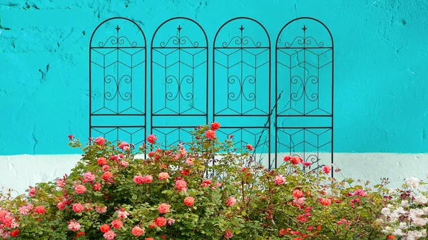 Metal Garden Trellis 71" x 19.7" - Rustproof Support for Climbing Plants - Black - 4 Pack