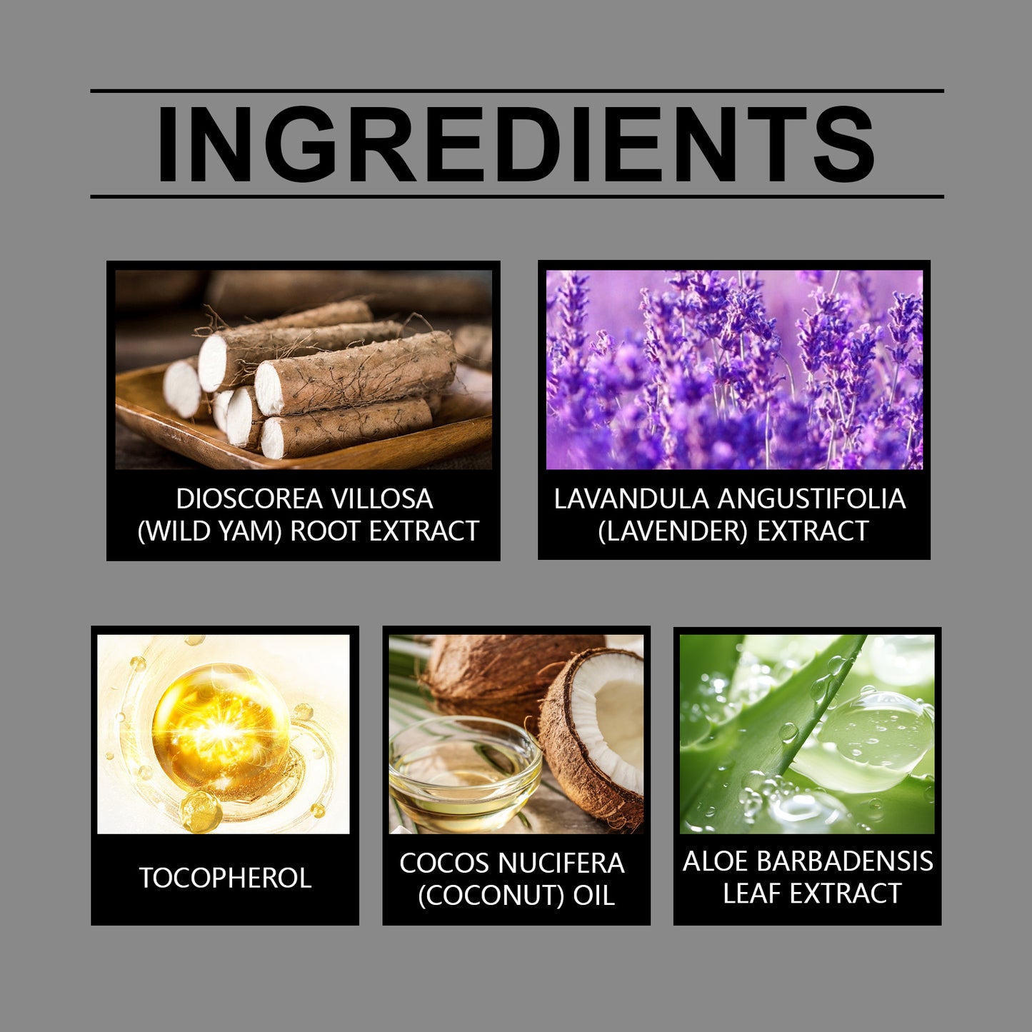 Wild Yam Body Cream - Moisturizing Botanical Skin Care for Daily Hydration