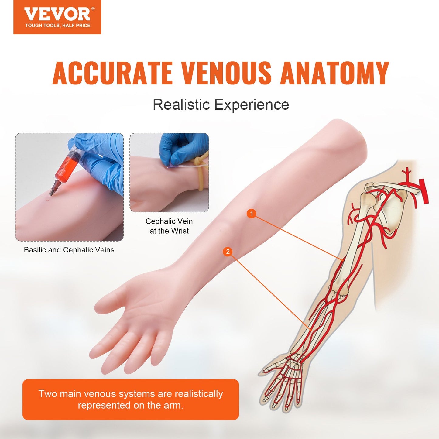 IV Practice Kit - High-Fidelity Venipuncture Training Arm