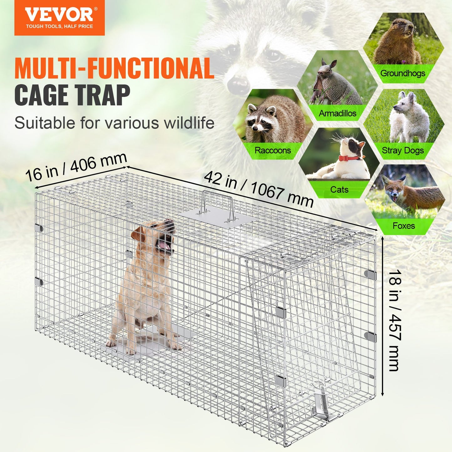42-Inch Humane Animal Cage Trap for Cats, Stray Dogs, Raccoons, and More