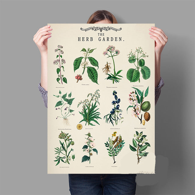 Herb Garden Botanical Poster Wall Art - Modern Minimalist Canvas Print
