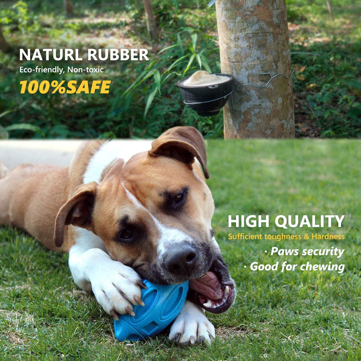 Durable Rubber Dog Toy with Squeaker - Interactive Bite-Resistant Fetch Ball