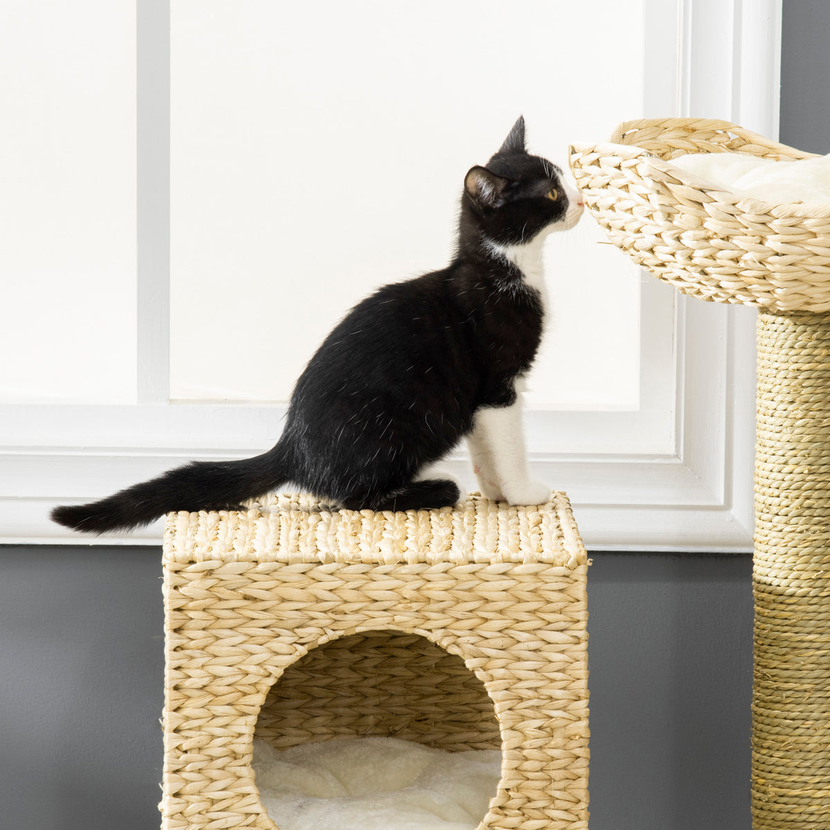 Indoor Cat Tree Tower with Rattan Condo and Washable Cushions - Natural Finish