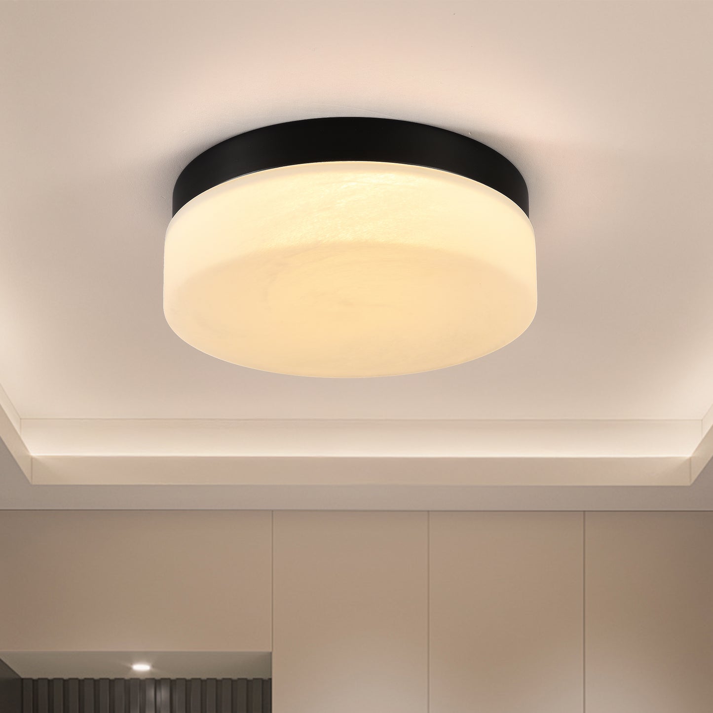 12-Inch LED Ceiling Light 24W Flush Mount Round Low Profile Fixture for Bedroom & Living Room Black