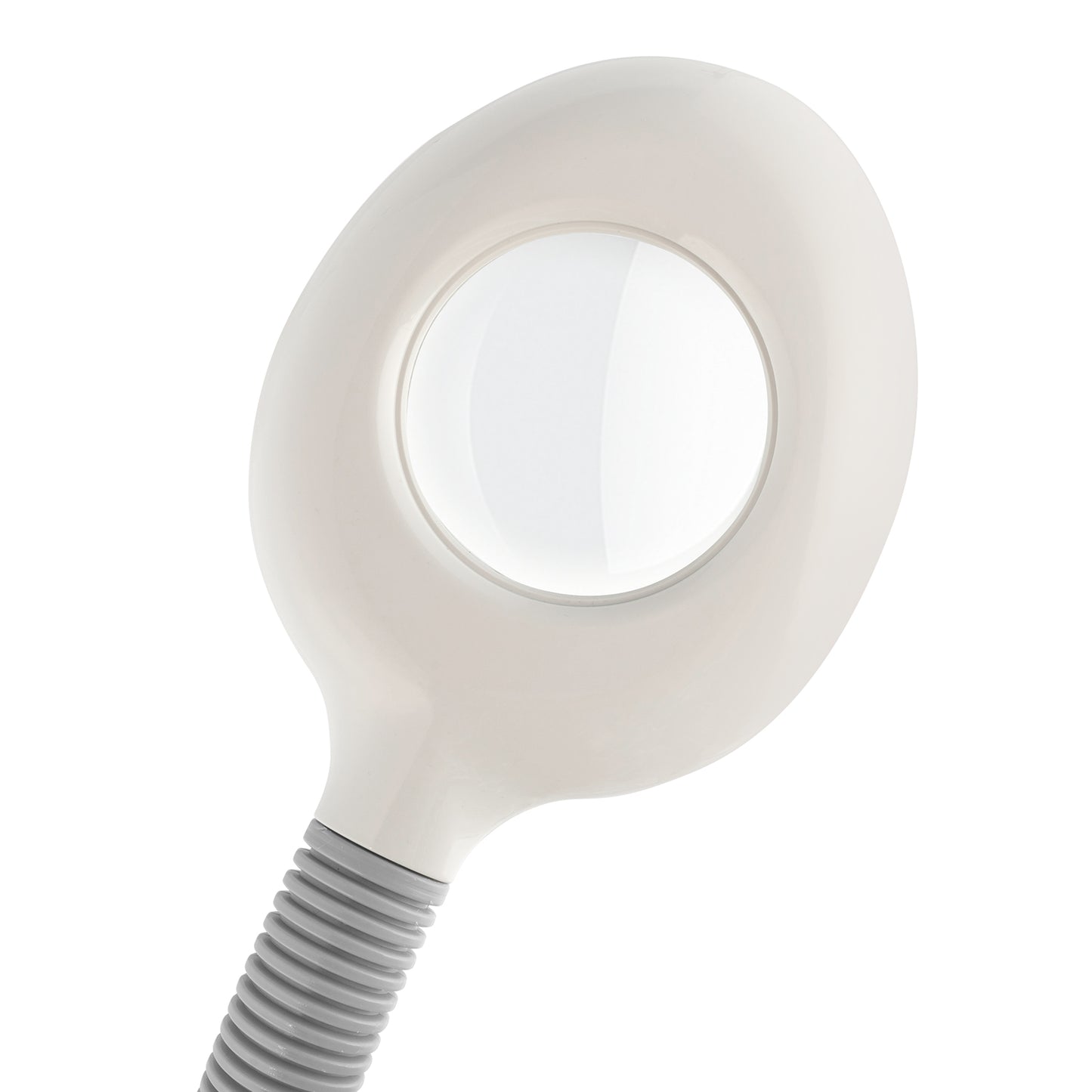 Water Spray Bottle with Magnifying Glass for Beauty & Home Use