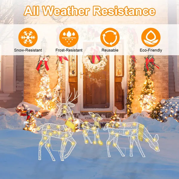 Lighted Christmas Reindeer Family Decoration Set - 3 Pieces