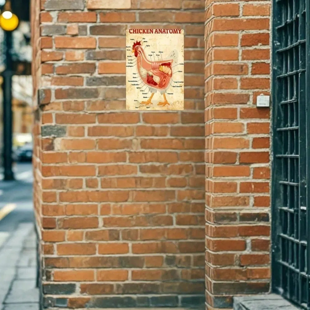 Classic Chicken Anatomy Metal Tin Sign - 8x12 Inch Vintage Art