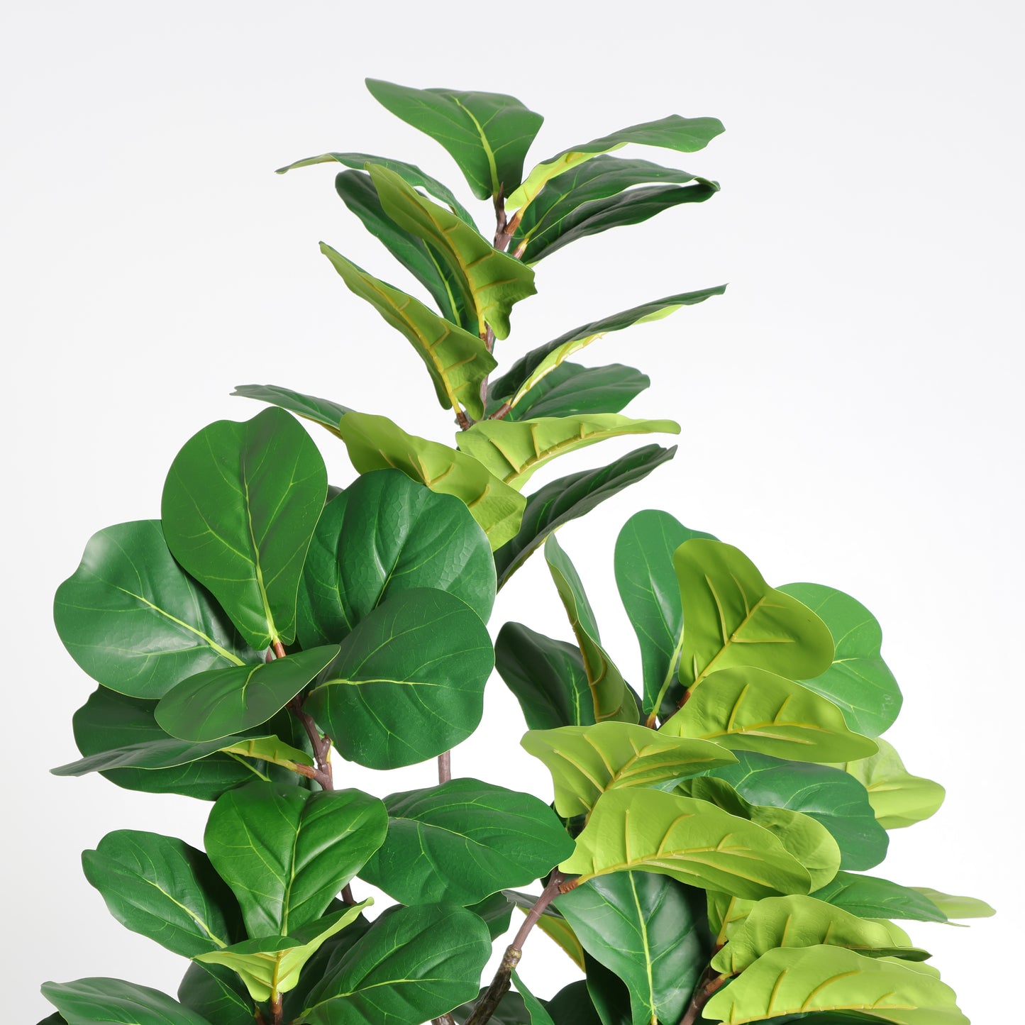 Artificial Fiddle Leaf Fig Tree in White Pot - 6FT Indoor Plant