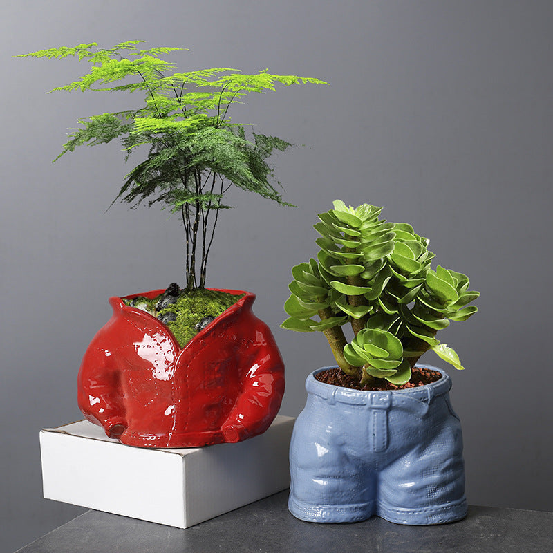Ceramic Flower Pot Set - Indoor Succulent Planters for Home & Garden