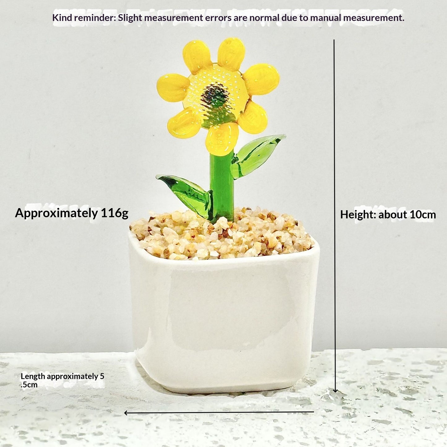 Glass Succulent and Hyacinth Desktop Ornament - Modern Minimalist Home Decor