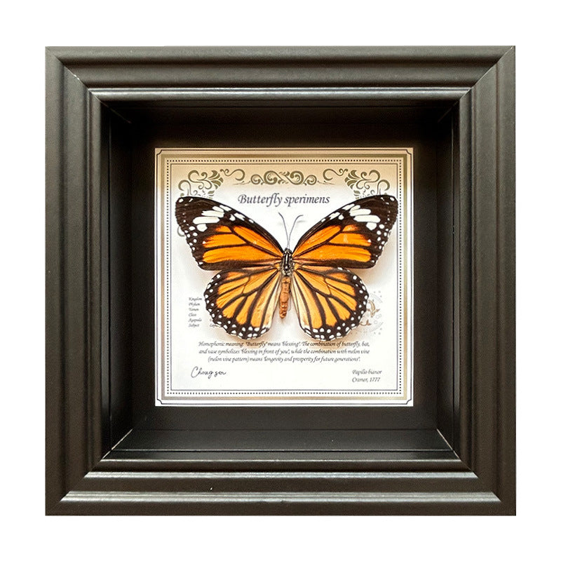 Butterfly Specimen Wall Art - Framed Decorative Butterfly Print - Multiple Sizes & Styles