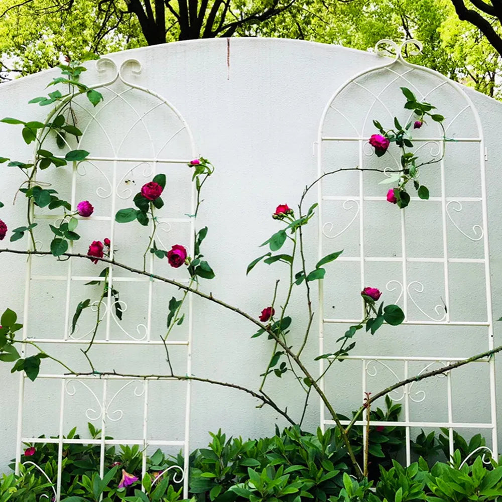 Metal Garden Trellis - 71" x 19.7" Rustproof Support for Climbing Plants