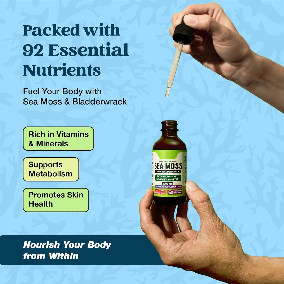 Seaweed Drops Supplement - Multiple Sizes