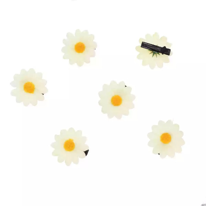 Flower Hair Barrettes Set - 6 Alloy Clips