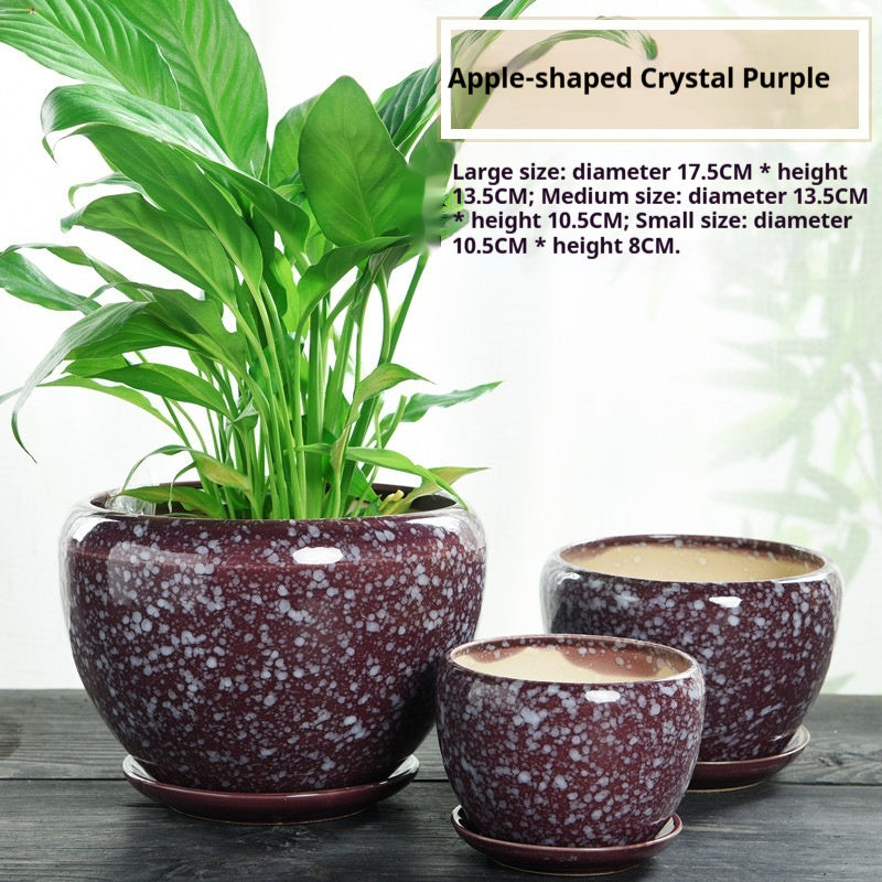 Minimalist Succulent Pot Set - Breathable, Durable Terracotta Planters with Trays