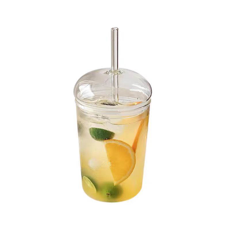 High Borosilicate Glass Drink Cup with Lid and Straw - 510ml