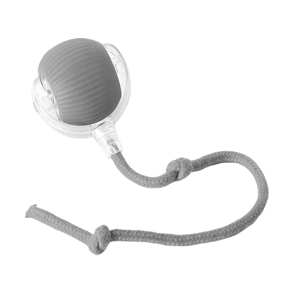 Interactive Electric Pet Ball Toy for Cats and Dogs - Indoor & Outdoor Play