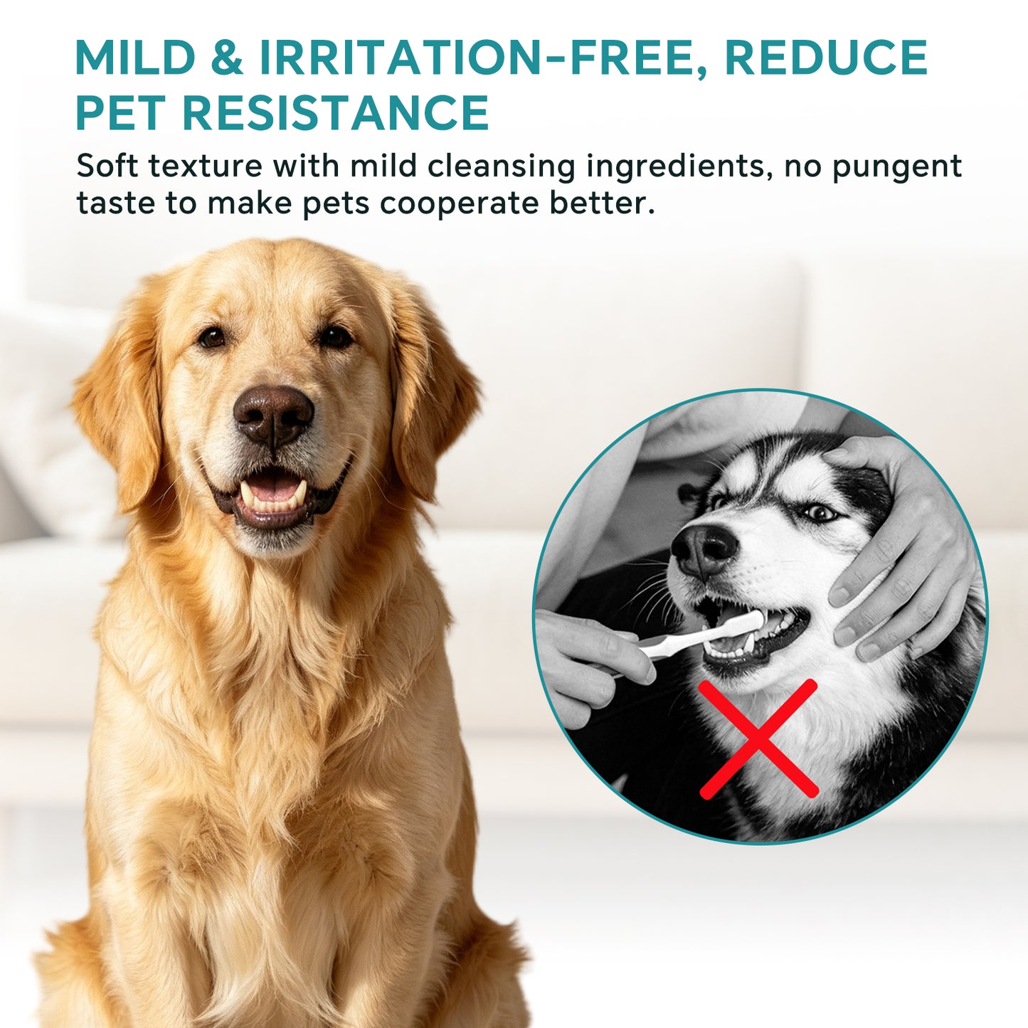 Pet Tooth Cleaning Wet Wipes - 50 Pieces, Self Pickup, Multiple Specifications