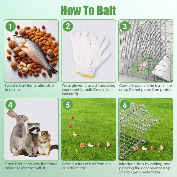 Heavy Duty Live Animal Trap Cage - Foldable Design, Humane Capture