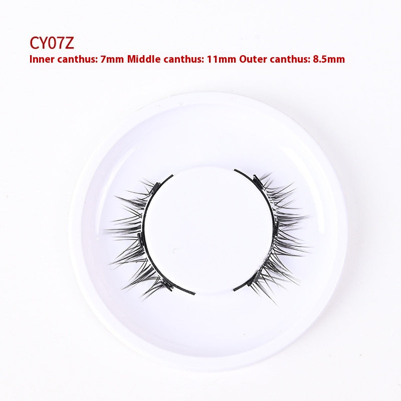 Magnetic Glue-Free False Eyelashes - Natural Look, Long-Lasting, Collection Use
