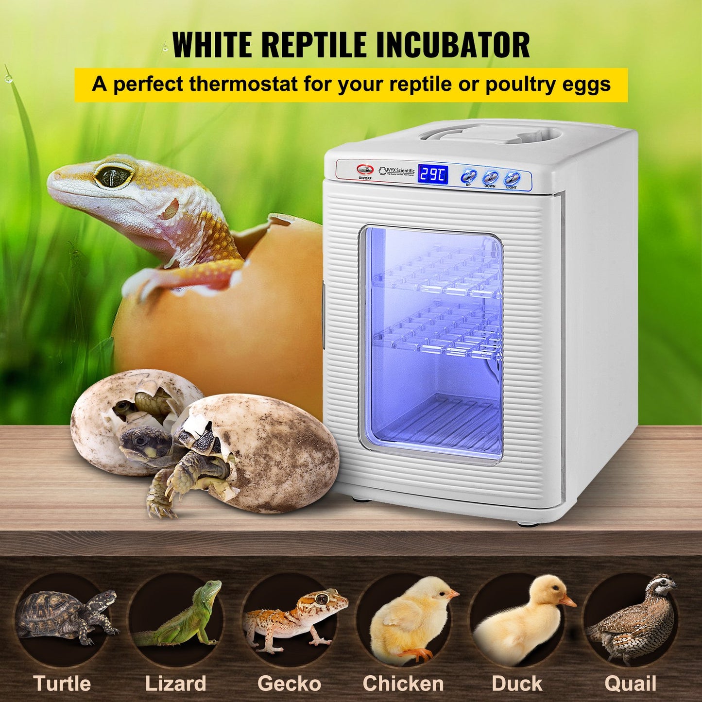 White Reptile Incubator 25L Digital Egg Incubator with Temperature Control
