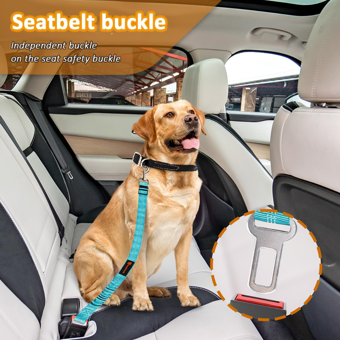 Removable Dog Seat Belt Harness for Car - 3-in-1 Pet Safety Leash & Restraint, Reflective Nylon, Blue