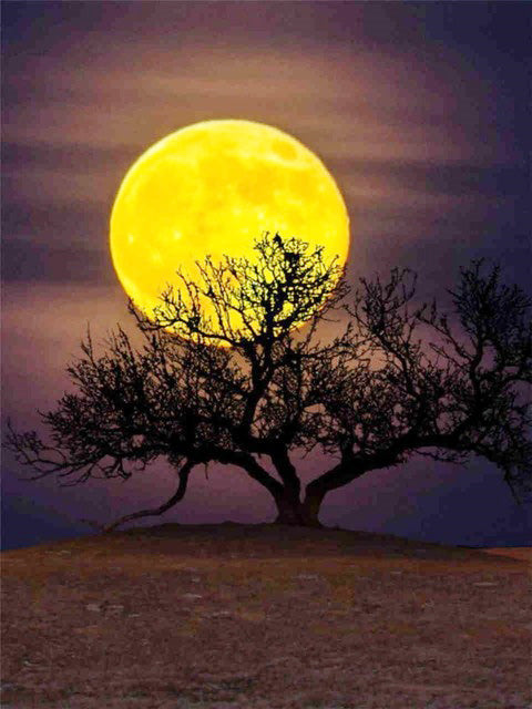 DIY Moon Full Square Diamond Painting Embroidery Home Decor