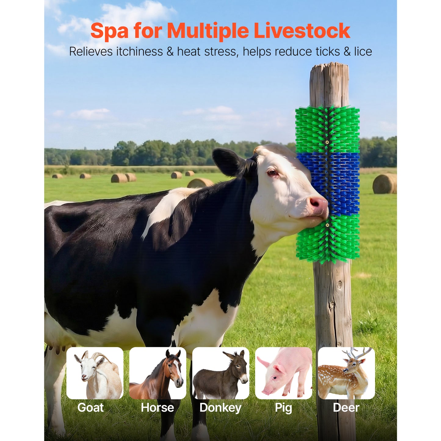 Livestock Scratching Brush Set - 2 Pieces, 16.9 x 7.5 Inches for Cattle, Sheep, Horses, Pig, Green & Blue
