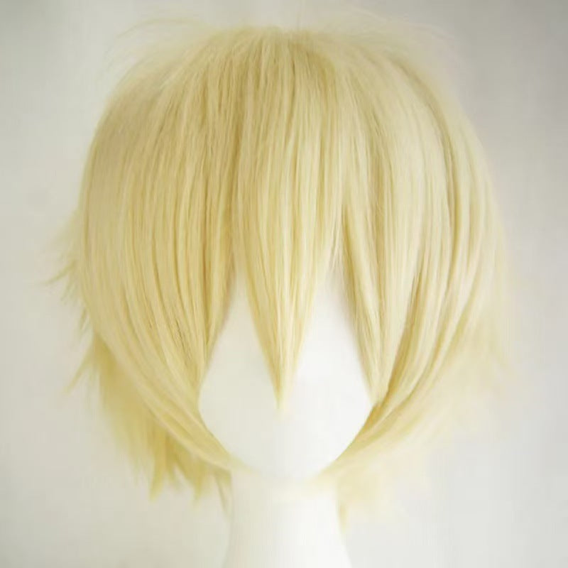 Cosplay Wig - High Temperature Fiber, Multiple Colors