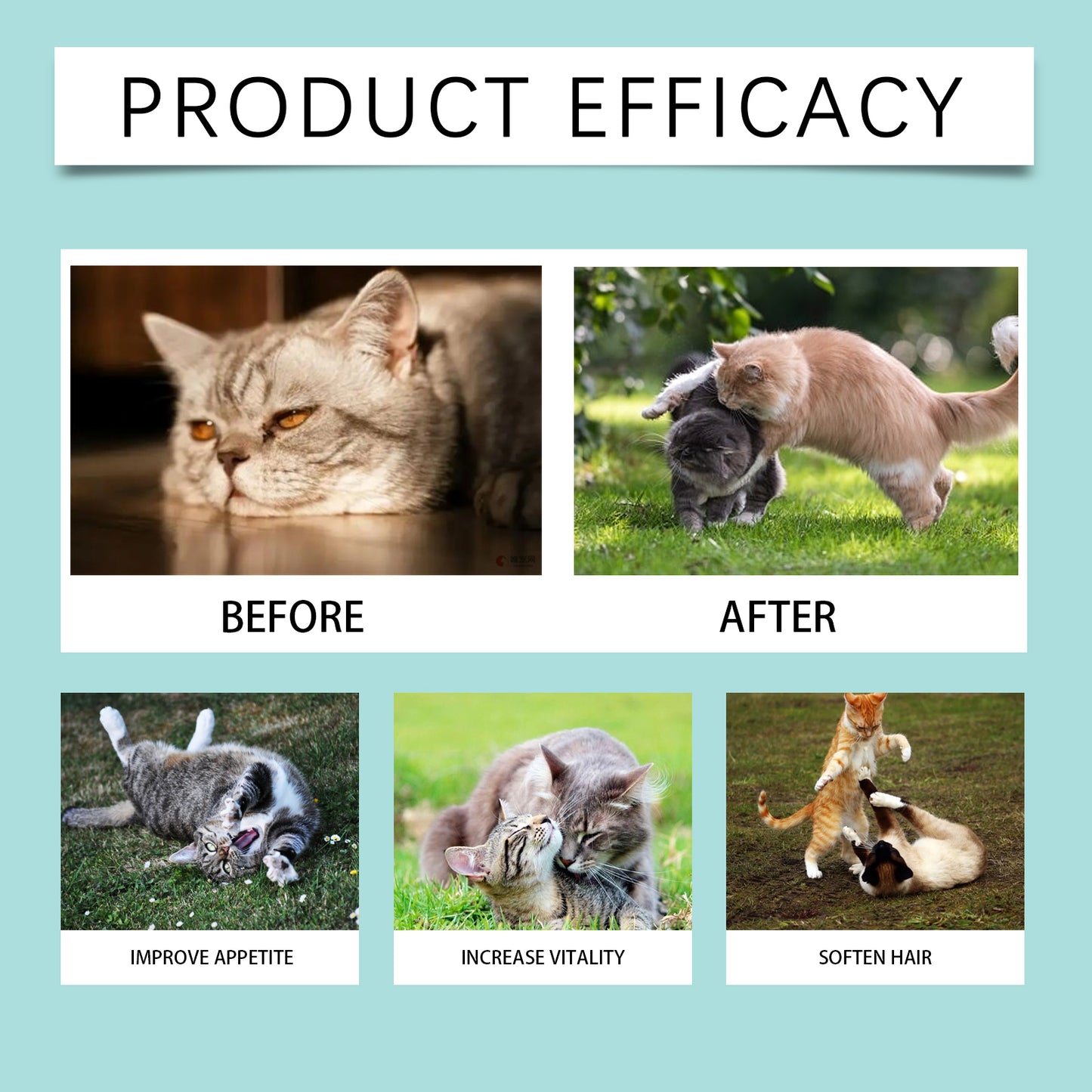 Cat Probiotic Supplement Tablets for Digestive & Immune Support - 80 Count