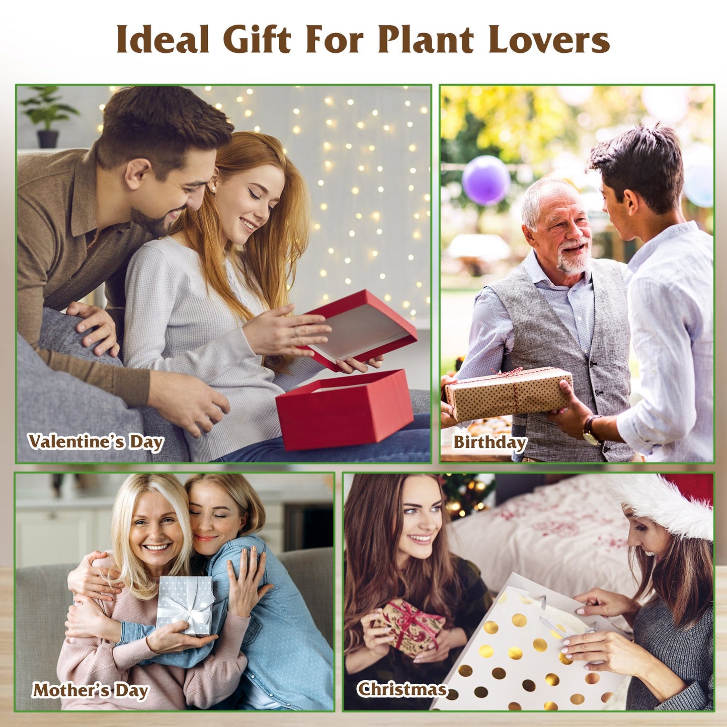 Heart-Shaped Plant Propagation Station with Wooden Stand