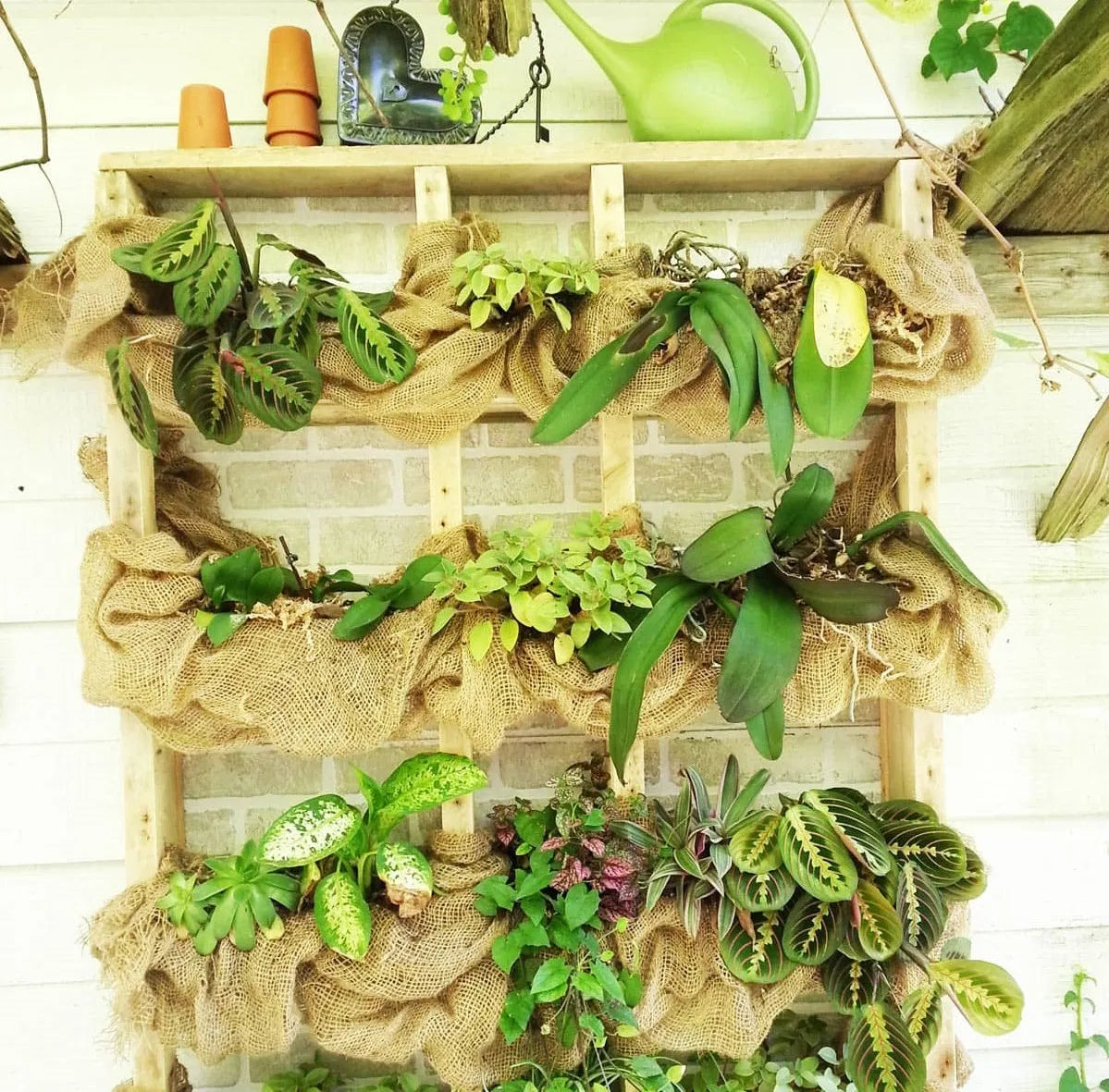 Garden Tree Wraps - Burlap Protective Cover for Trees, 4 Rolls