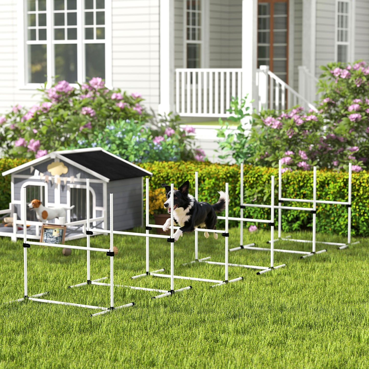 6-Piece Adjustable Dog Agility Jump Set with Carry Bag - White