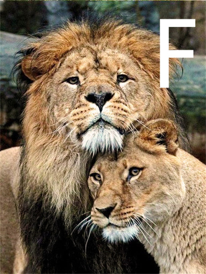5D Diamond Embroidery Lion Cross Stitch Kit for Home Decor - Multiple Sizes & Styles