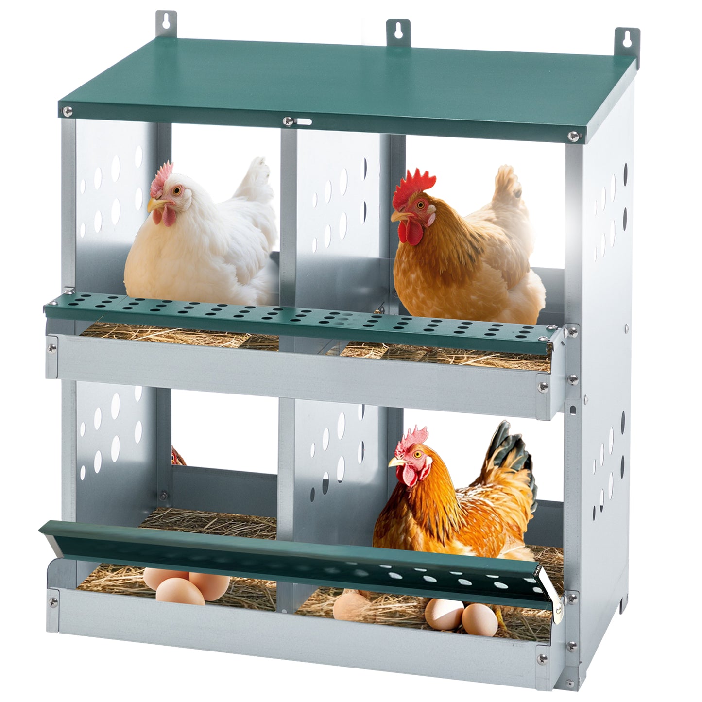 4-Compartment Galvanized Steel Chicken Nesting Box Wall Mount Egg Laying Coop with Green Finish