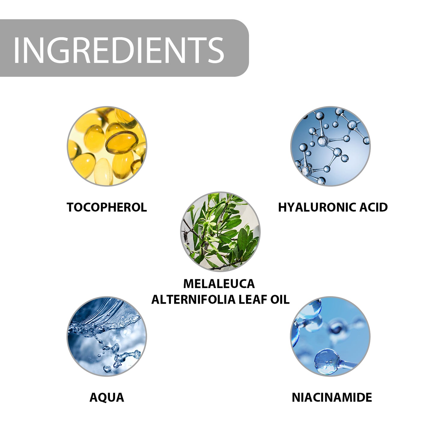Hydrating Facial Moisturizer with Niacinamide & Hyaluronic Acid