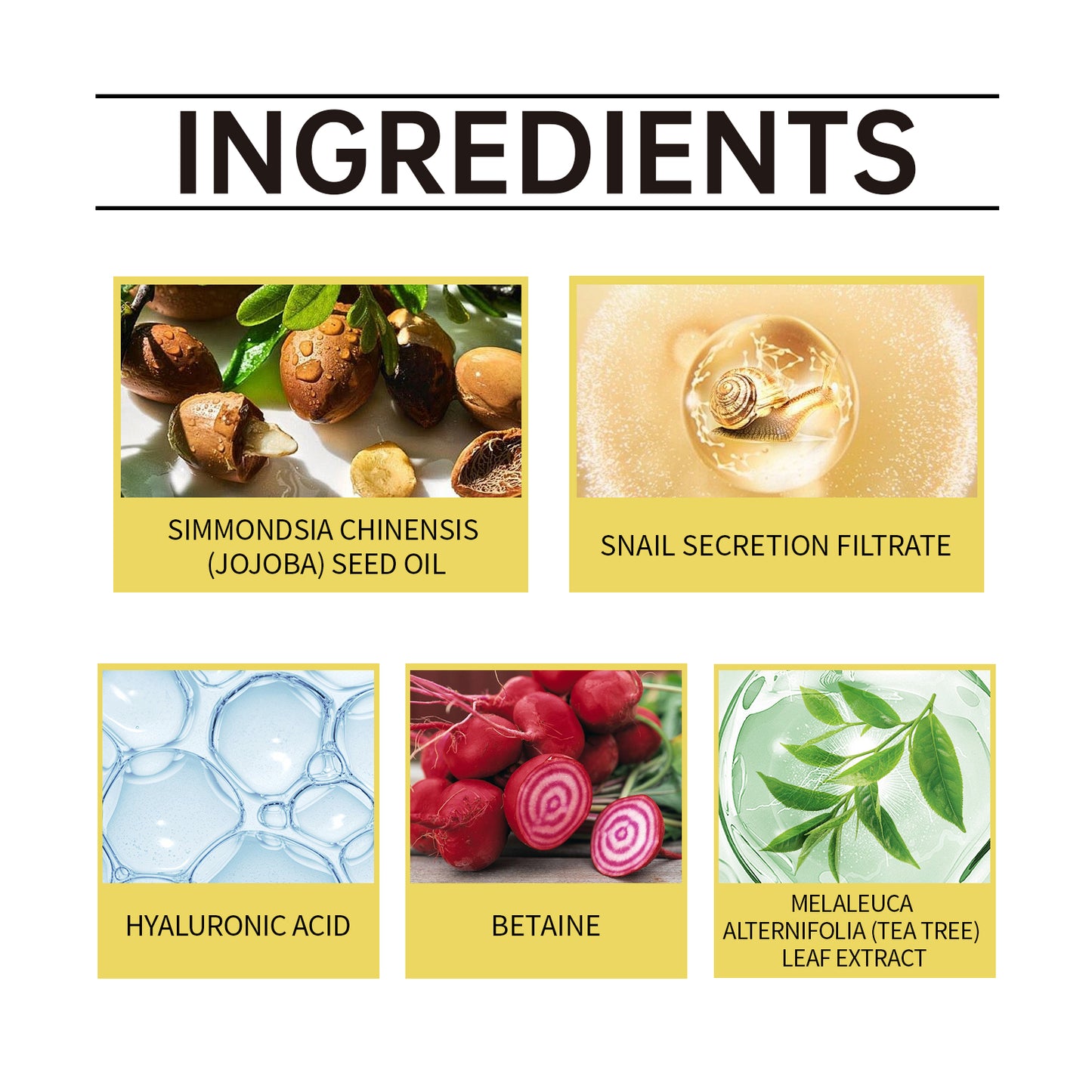 Snail Mucin Moisturizing Facial Cream with Jojoba Oil & Hyaluronic Acid