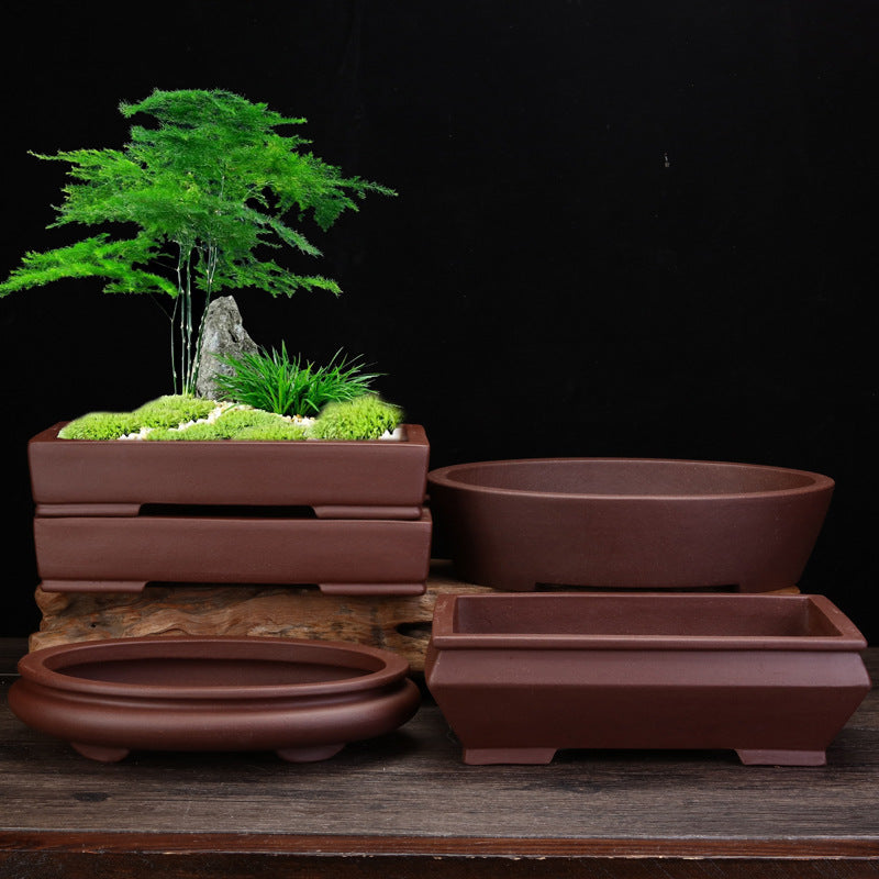Purple Ceramic Square Plant Pot for Desktop & Floor Bonsai Display