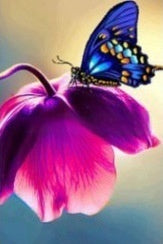Diamond Painting Butterfly Landscape Art Kit - Full Canvas Decoration