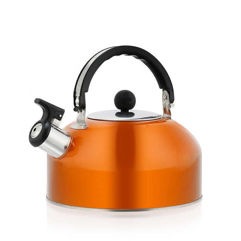 Large Capacity Stainless Steel Whistling Kettle for Induction Cookers - 3L