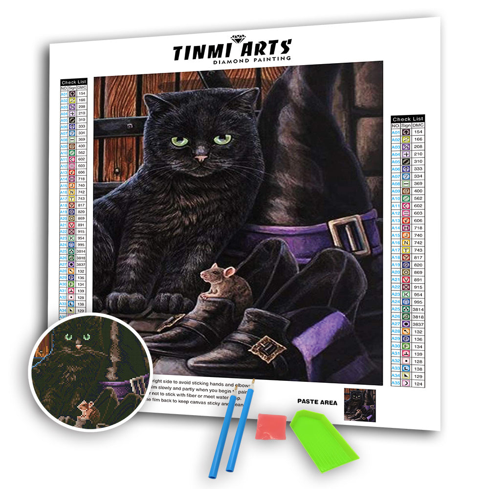 Animal Cat and Shoe Mosaic Cross Stitch Kit - Diamond Embroidery Art Decor