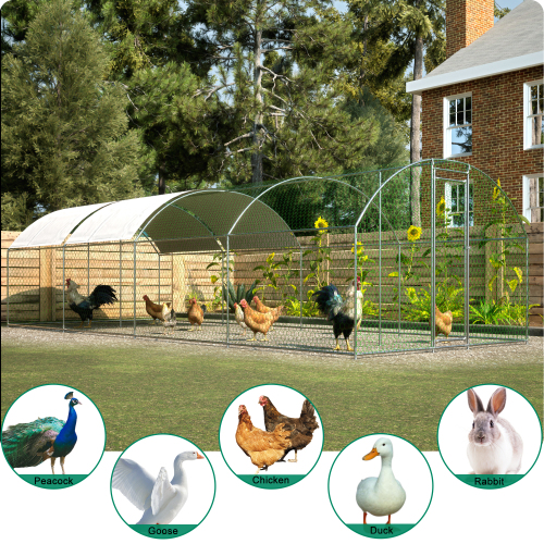 Large Metal Chicken Coop with Lockable Door Waterproof Design Argent