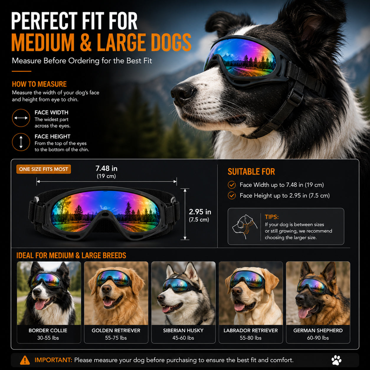 Dog Goggles for Medium & Large Dogs UV Protection Impact-Resistant Pet Glasses