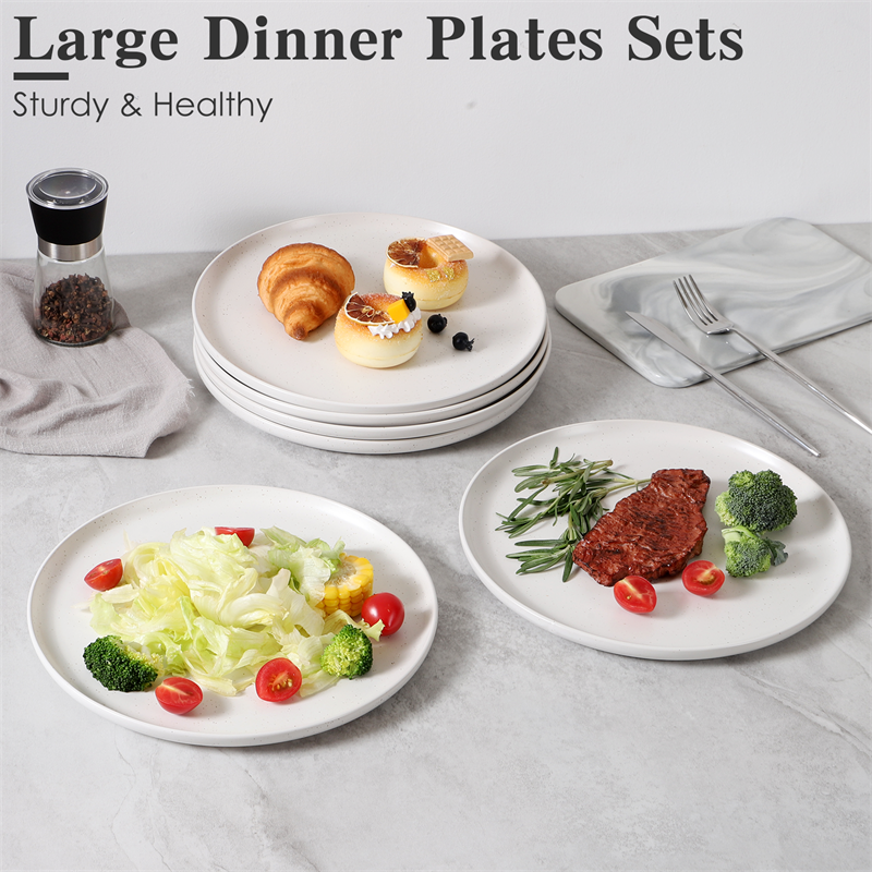 Creative Western Food Plate Set - 6-Piece Cereal, Salad, Pasta & Soup