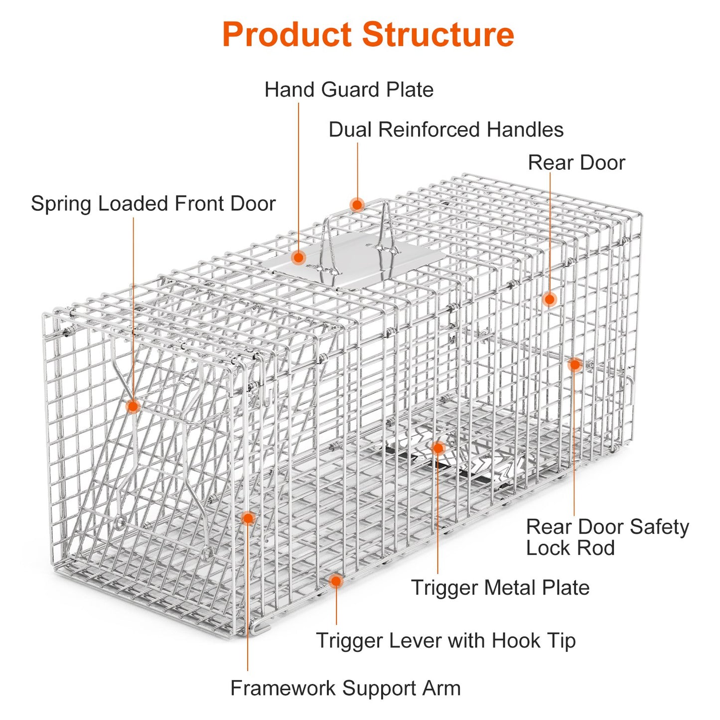 Humane Live Animal Trap Cage - Collapsible Wire for Raccoons, Foxes, Armadillos