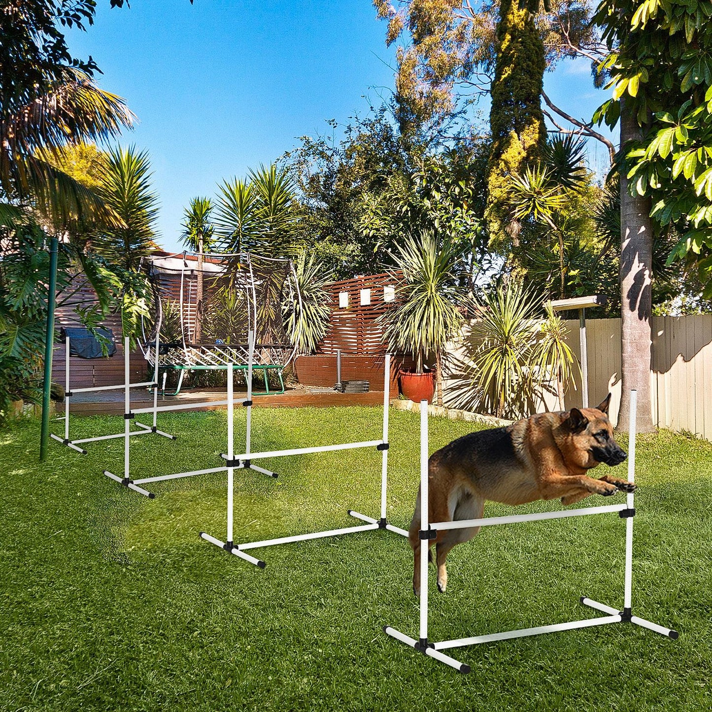 Dog Agility Training Equipment Set with Height-Adjustable Jump Poles - White, 4 Pieces