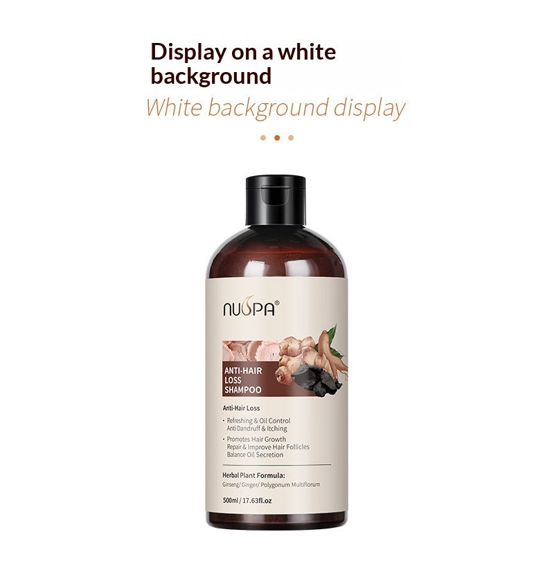 Ginger Shampoo with Dandruff Control & Oil – 500ML