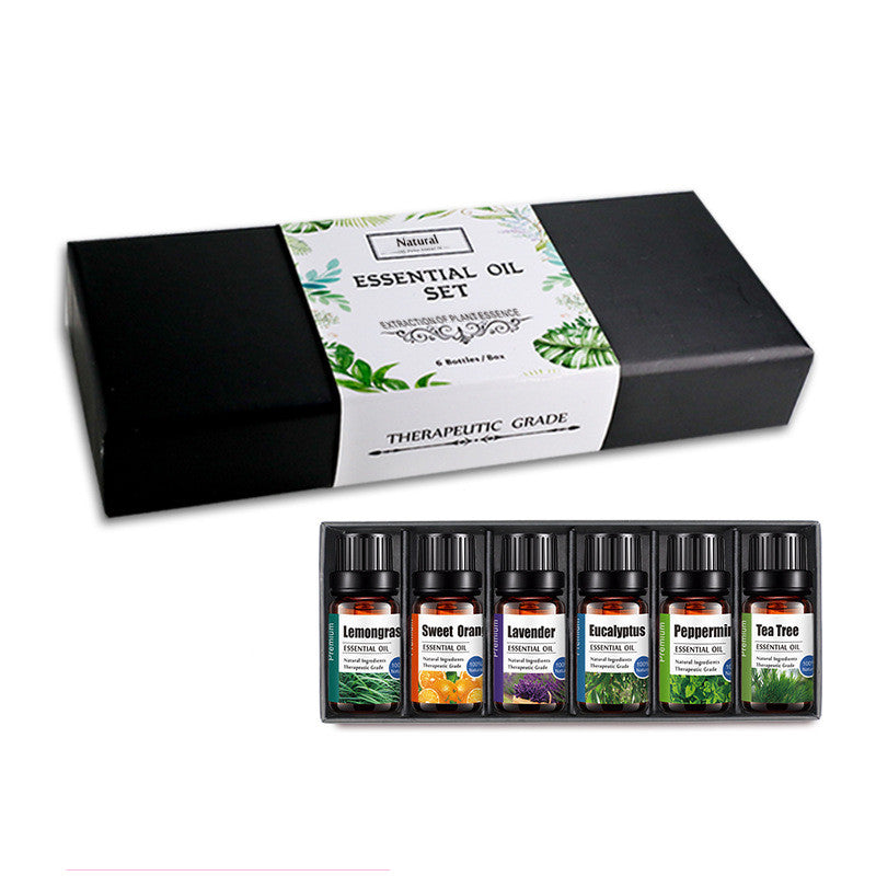 Essential Oil Set 12pcs 5ml Aromatherapy